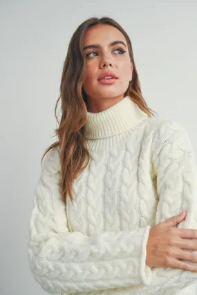 Kamryn Thick Braid With Turtle Neck Long Sleeve Sweater