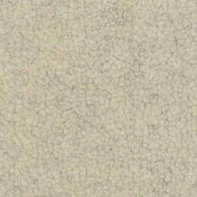 Sherpa - Fur Oatmeal 60" Minky Yardage